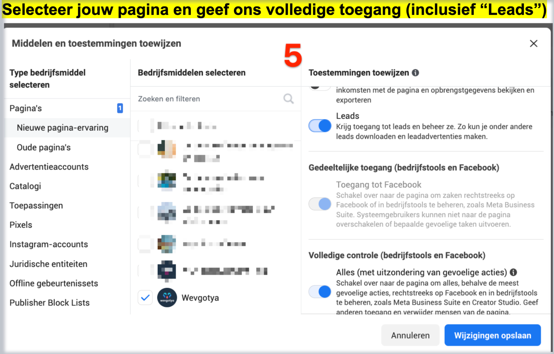 Middelen en toestemmingen toewijzen · Pagina's met volledige toegang en Leads